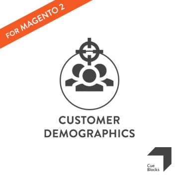 Customer Demographics Reporting Tool Preview